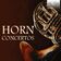 Horn Concerto No. 1 in D Major, Hob. VIId3: I. Allegro