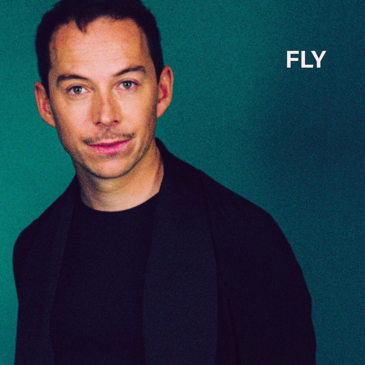 Album cover of Fly