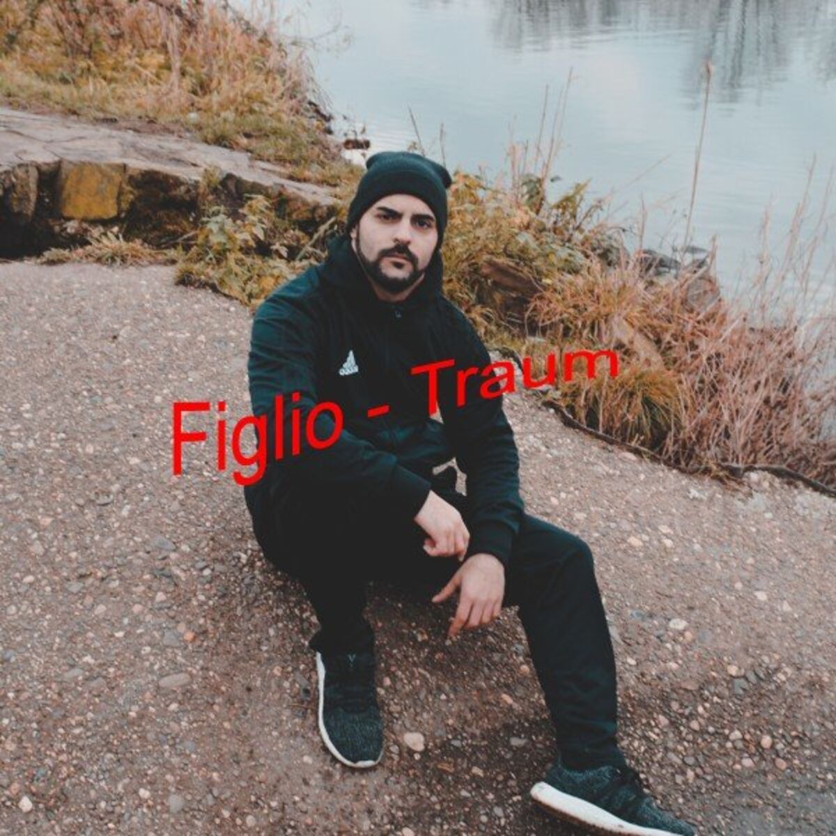 Album cover of Traum