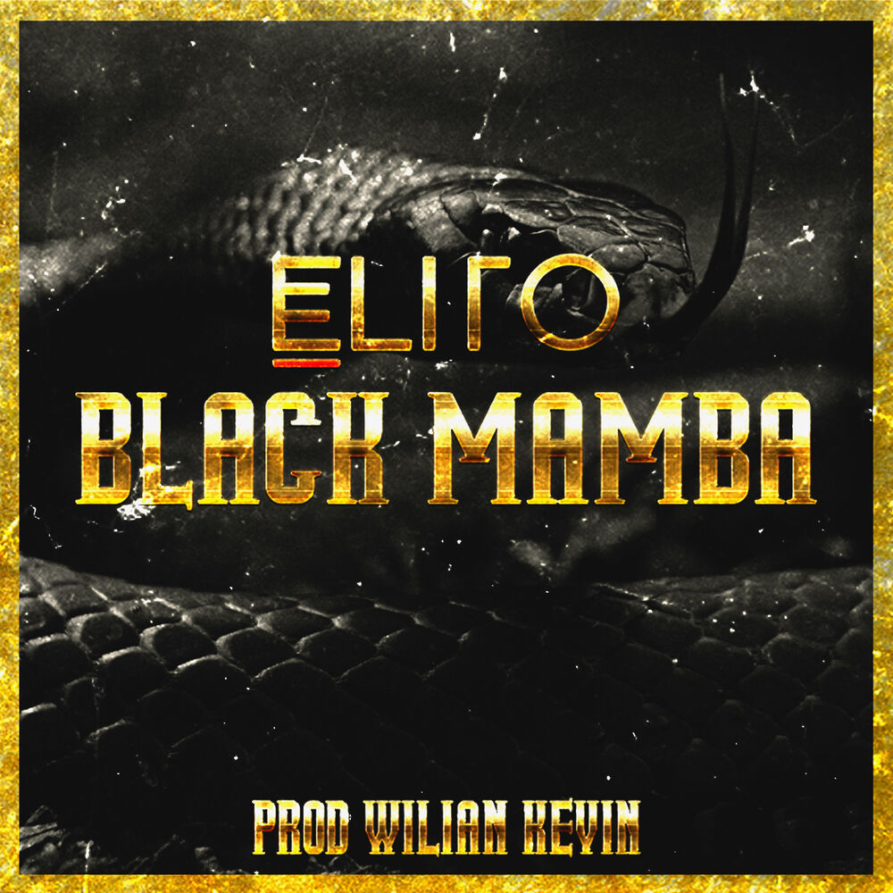 Picture of Black Mamba