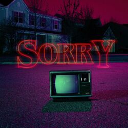 Cover of Sorry