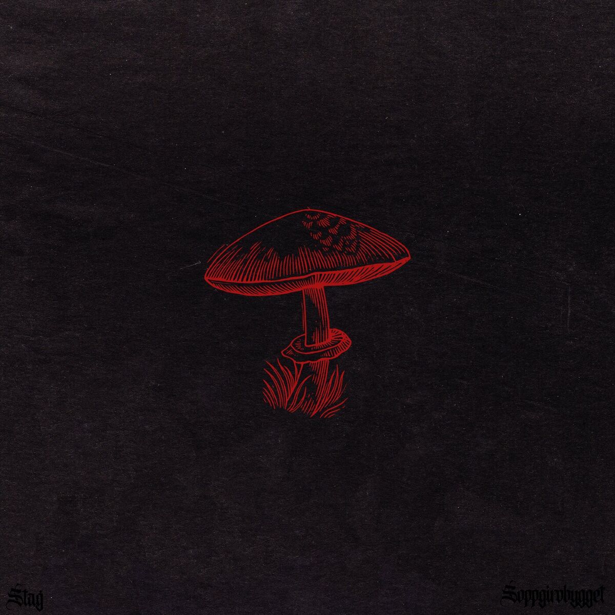 Album cover of STAG