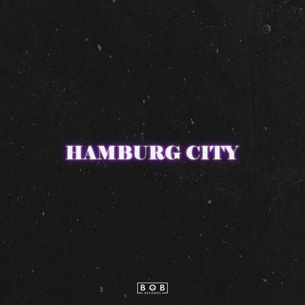 Picture of Hamburg City