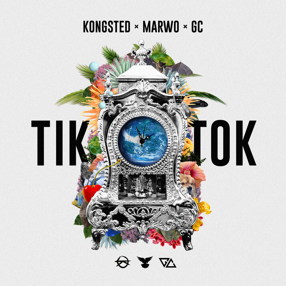 Picture of Tik Tok
