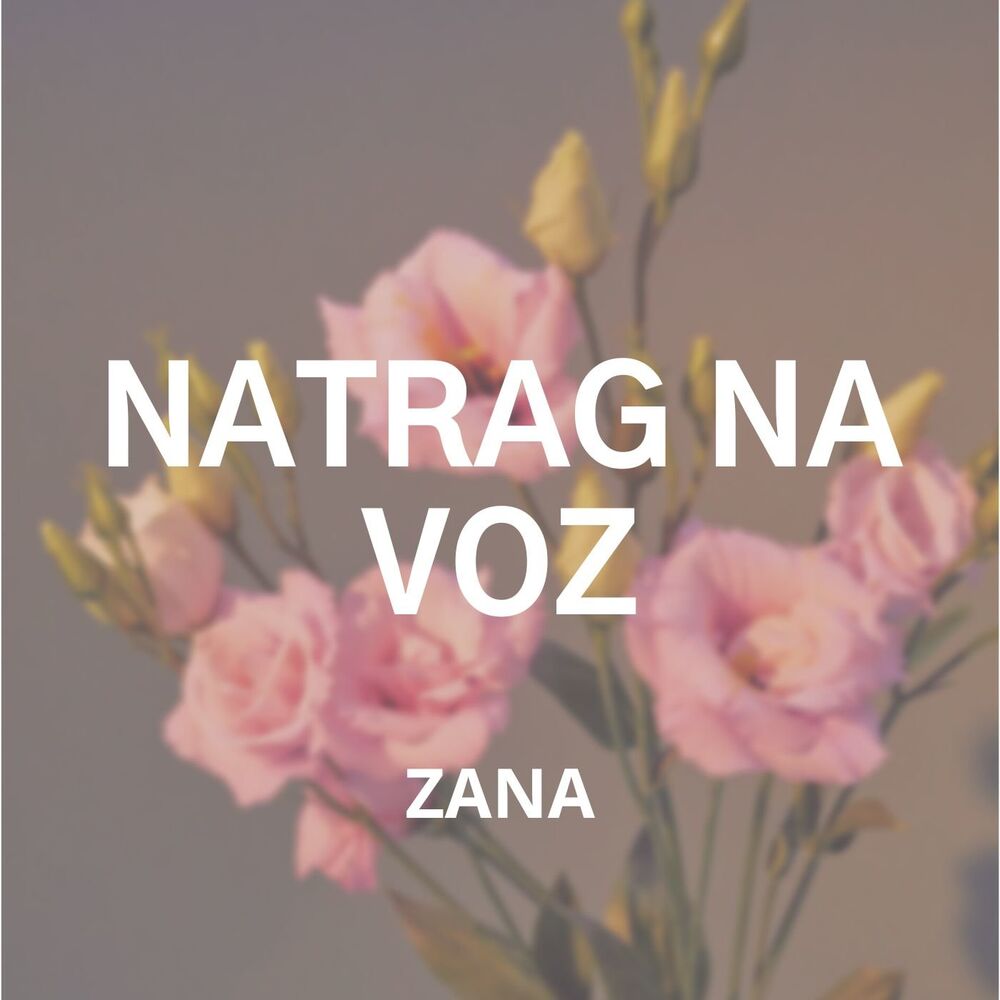 Picture of Natrag Na Voz