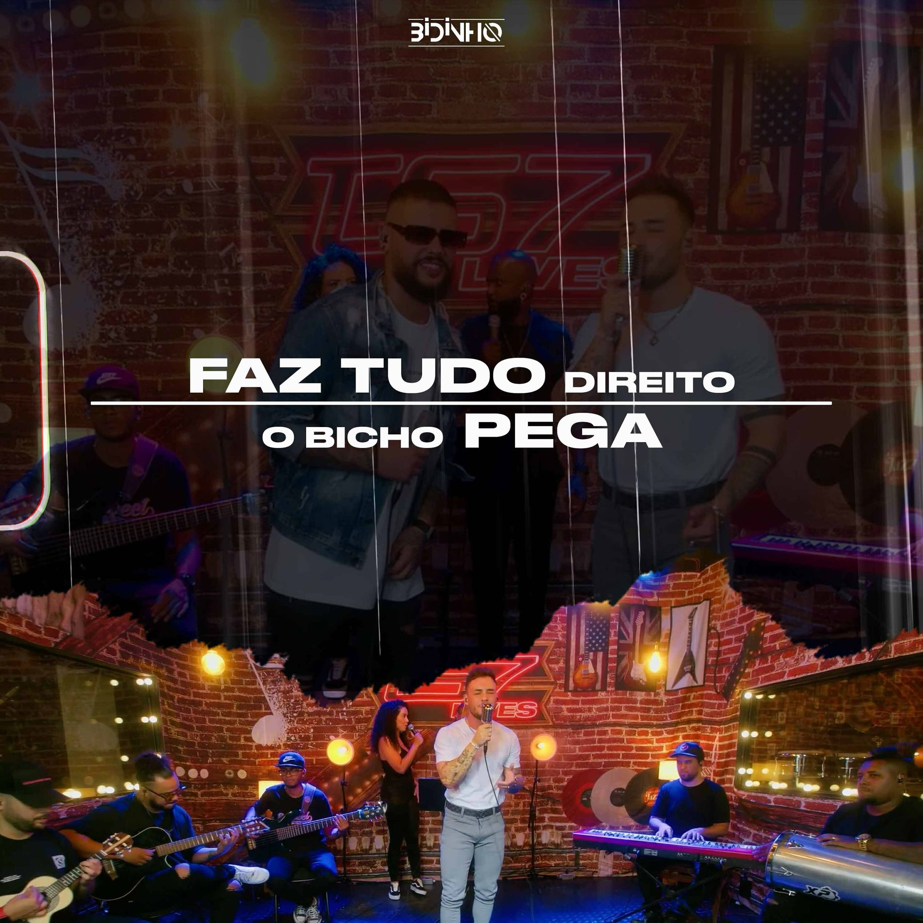 Album cover of Faz Tudo Direito / O Bicho Pega