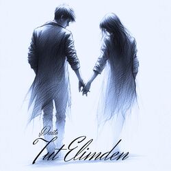 Cover of Tut Elimden