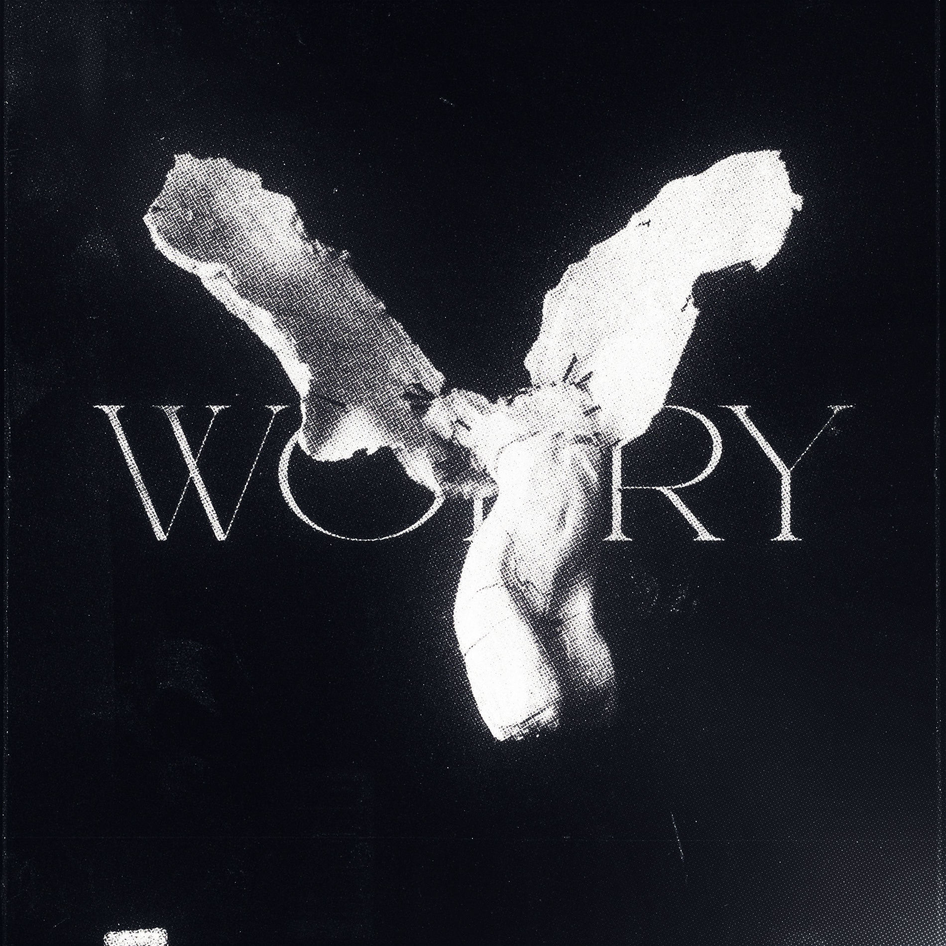 Album cover of worry