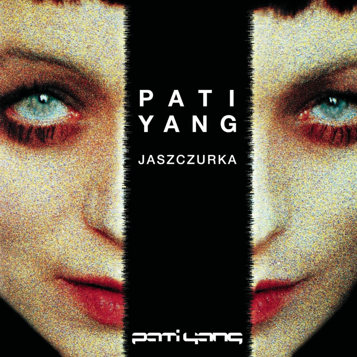 Album cover of Jaszczurka