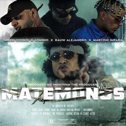 Cover of Matémonos