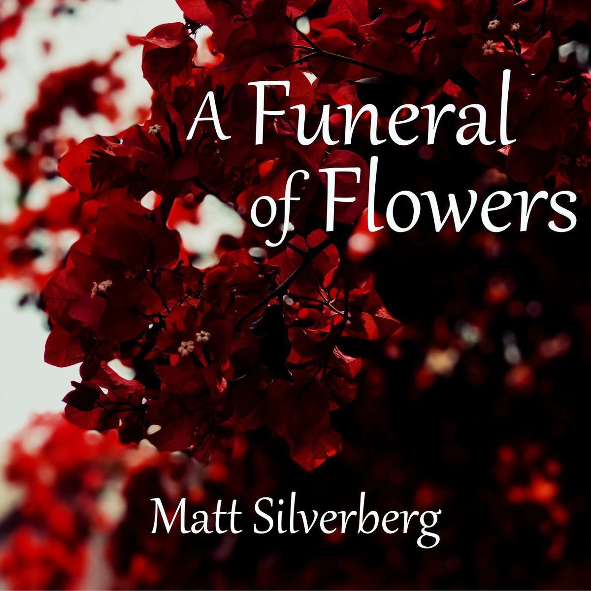 Album cover of A Funeral of Flowers (from 
