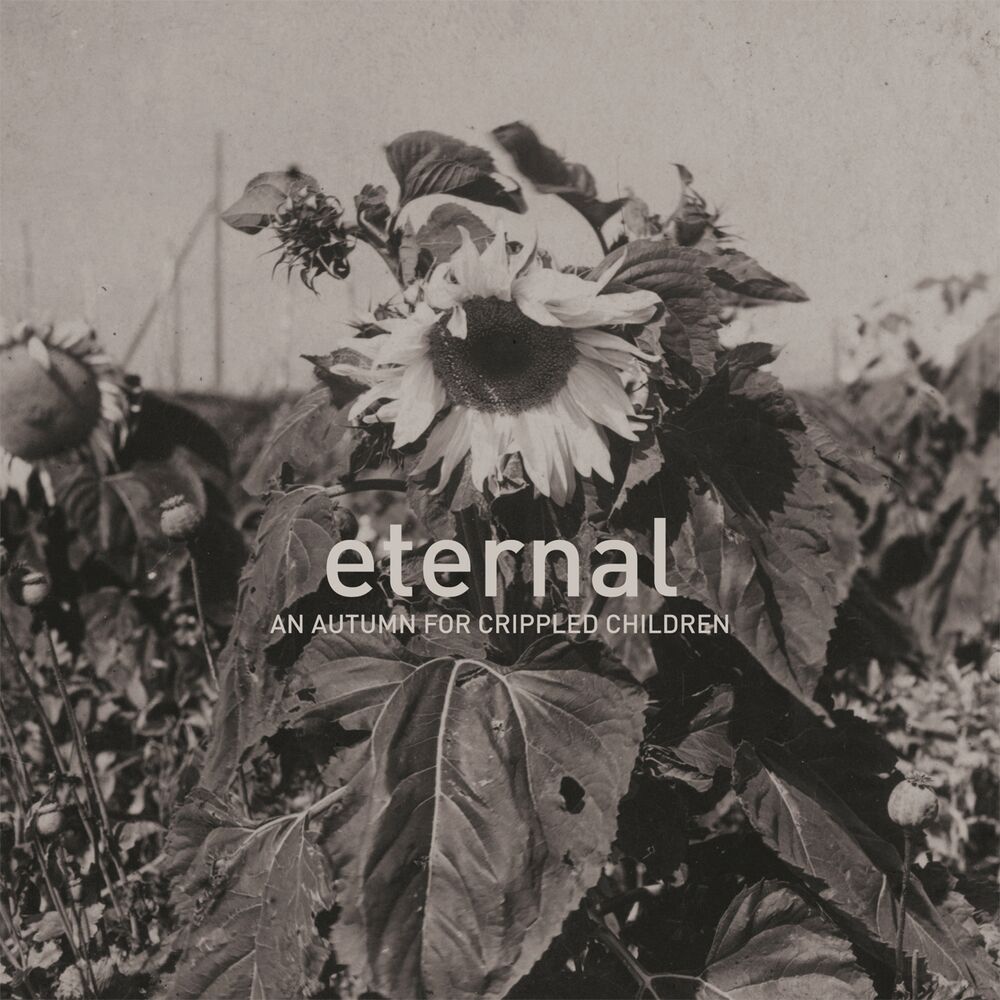 Picture of Eternal