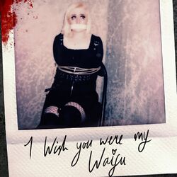 Cover of I Wish You Were My Waifu