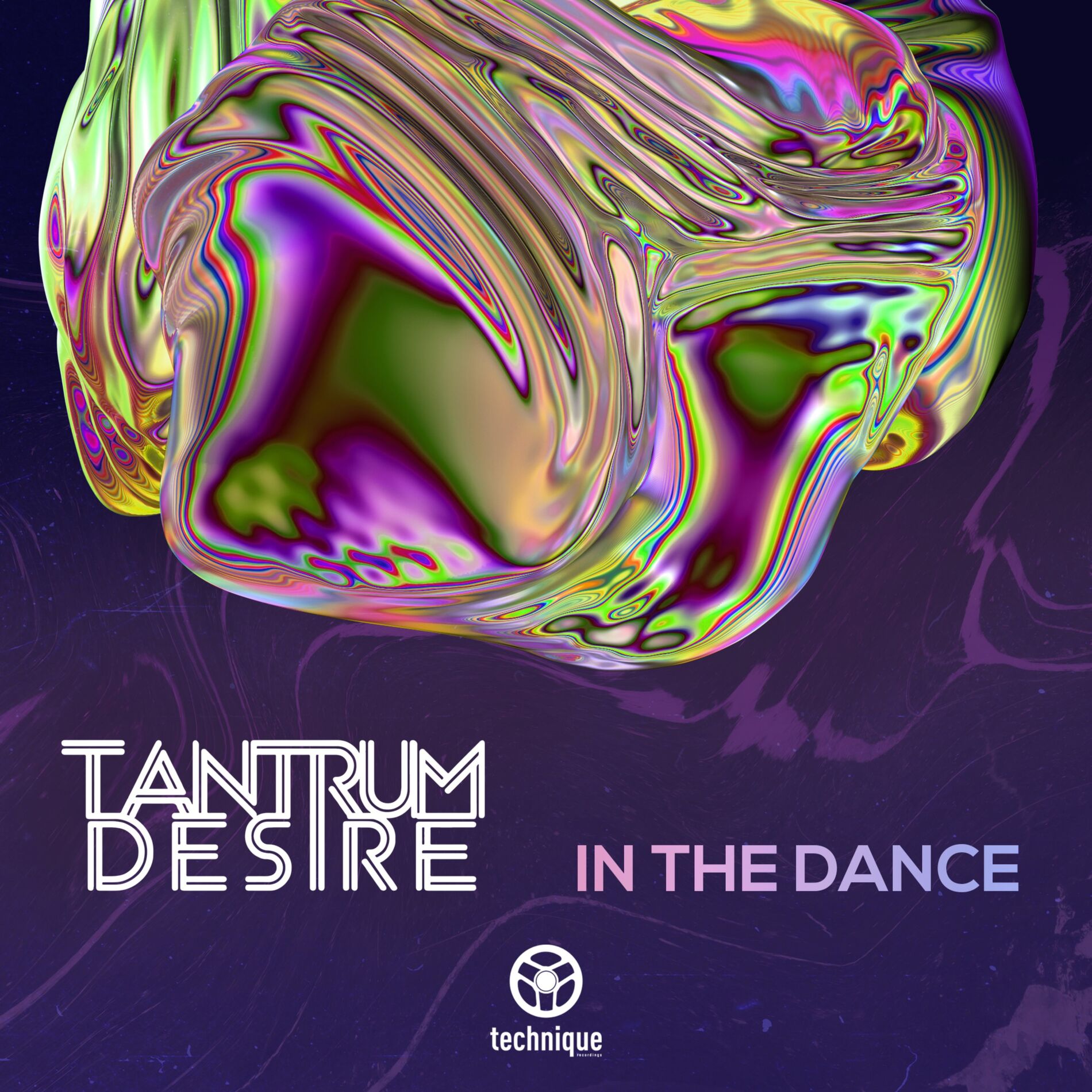 Album cover of In the Dance