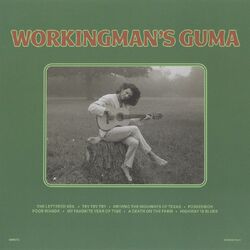 Cover of Workingman's Guma