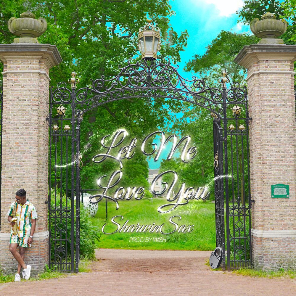 Picture of Let Me Love You