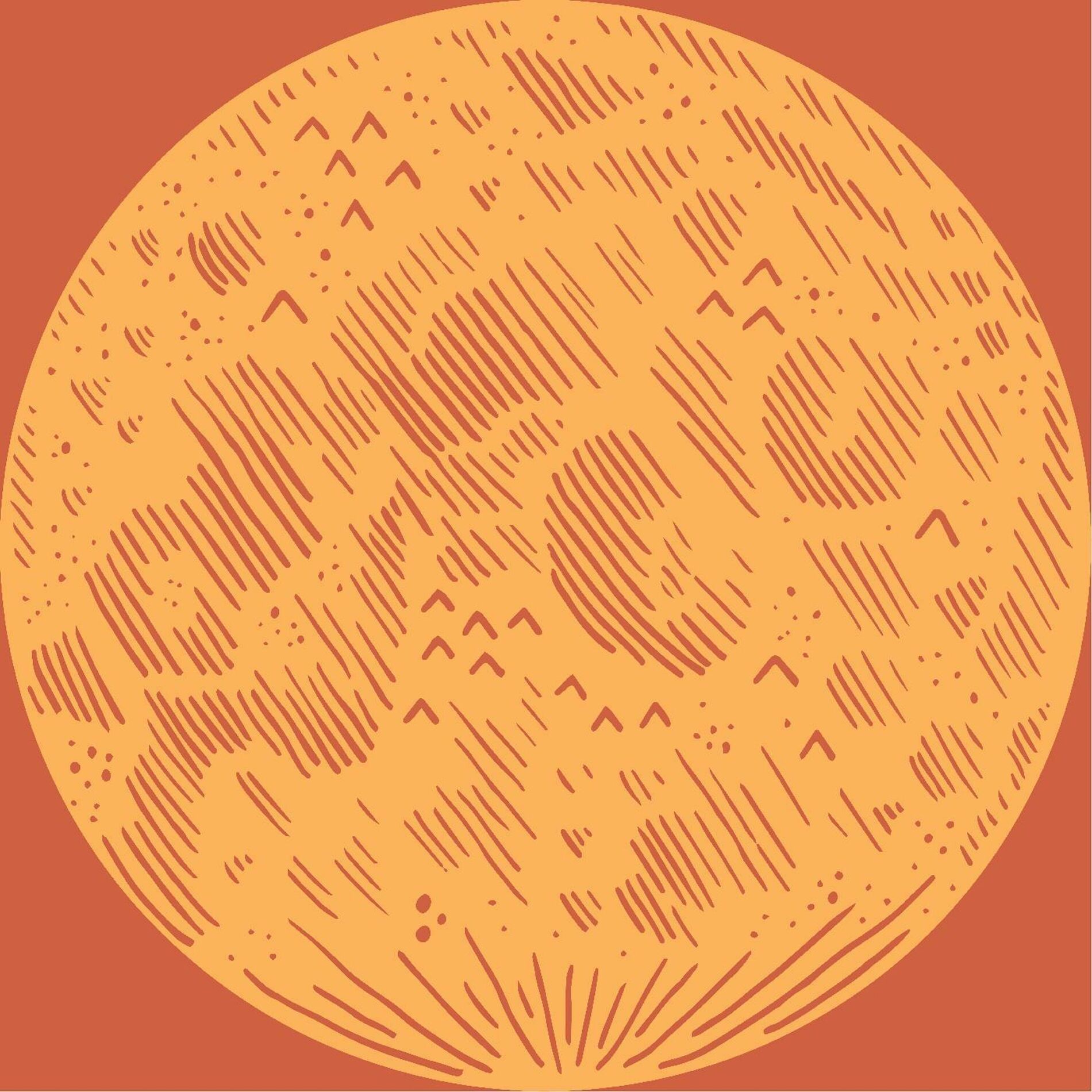 Album cover of The Cosmos and the Canyon