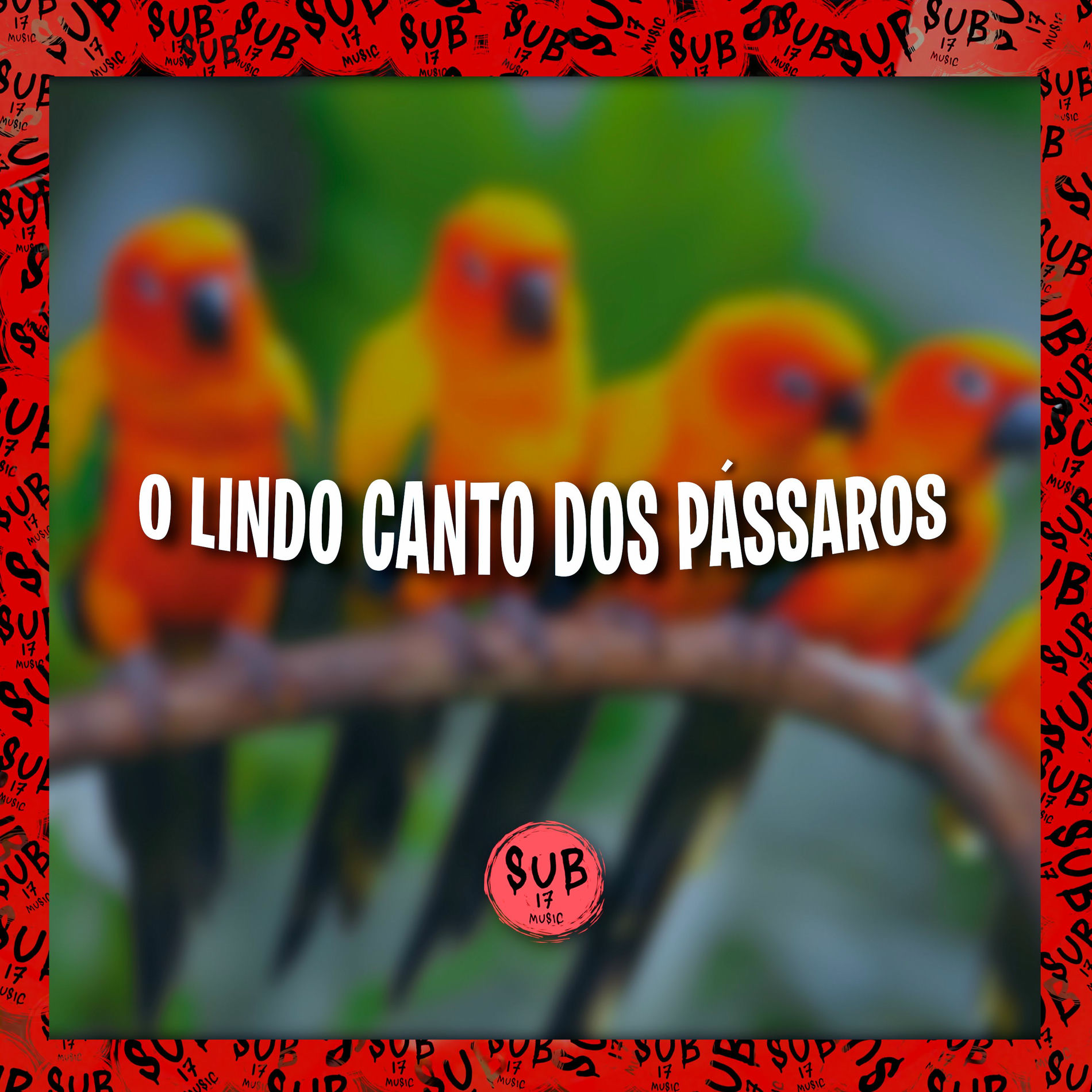 Album cover of O Lindo Canto dos Pássaros