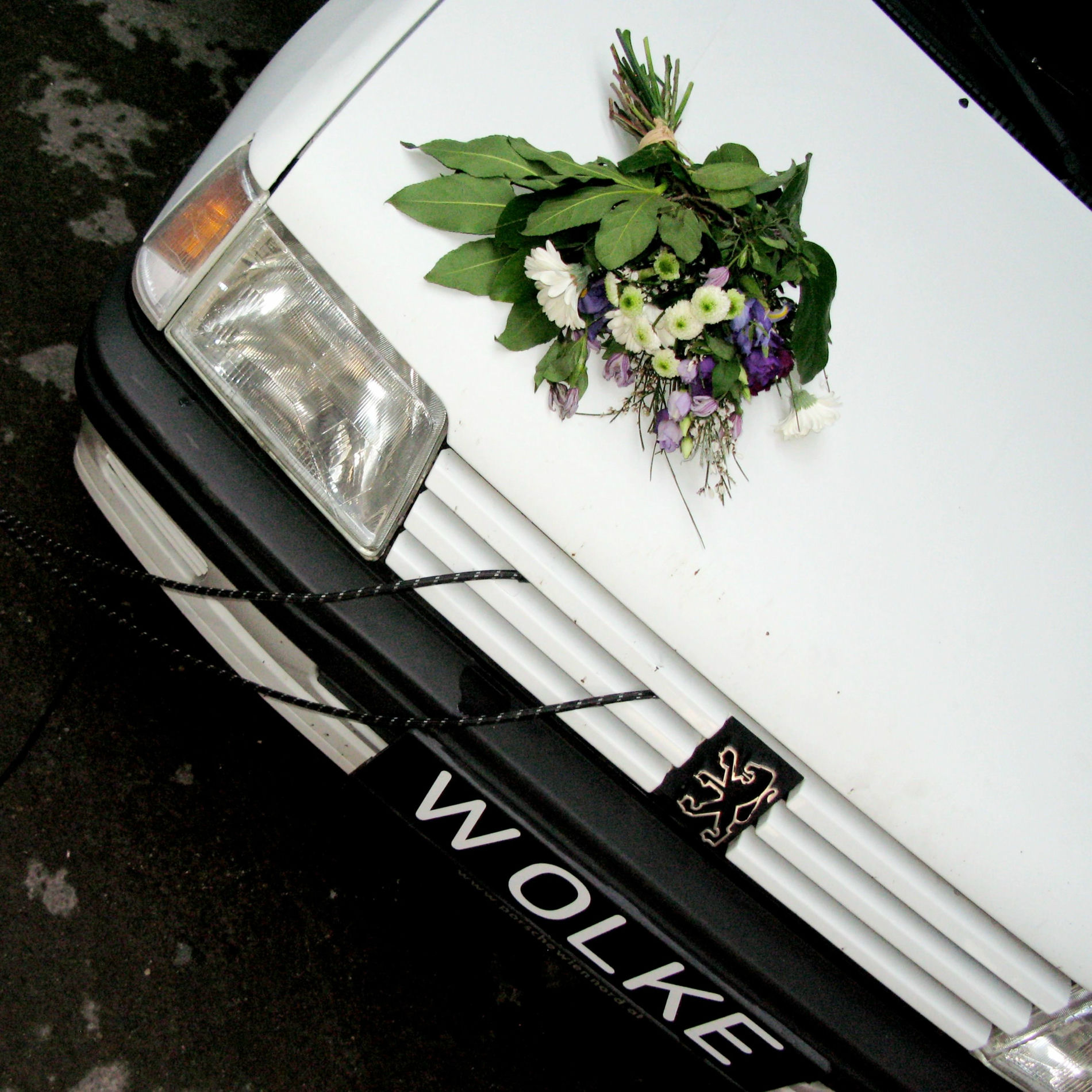 Album cover of WOLKE