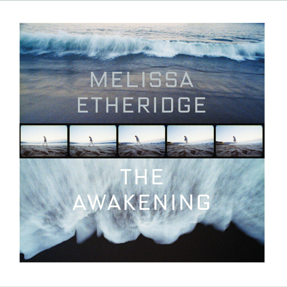 Picture of The Awakening