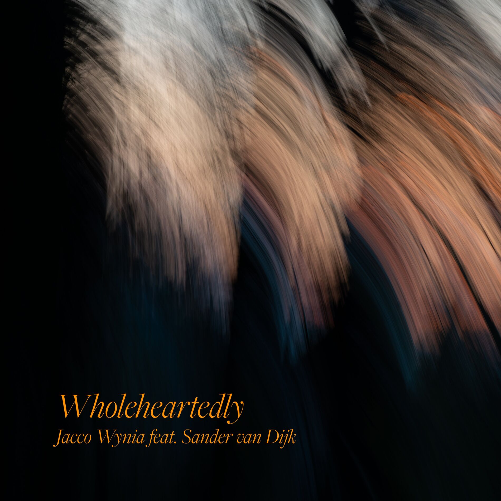 Album cover of Wholeheartedly (feat. Sander van Dijk)