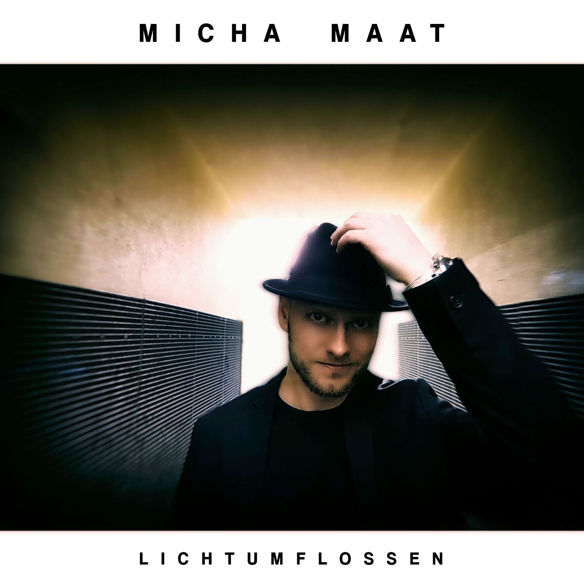 Album cover of Lichtumflossen