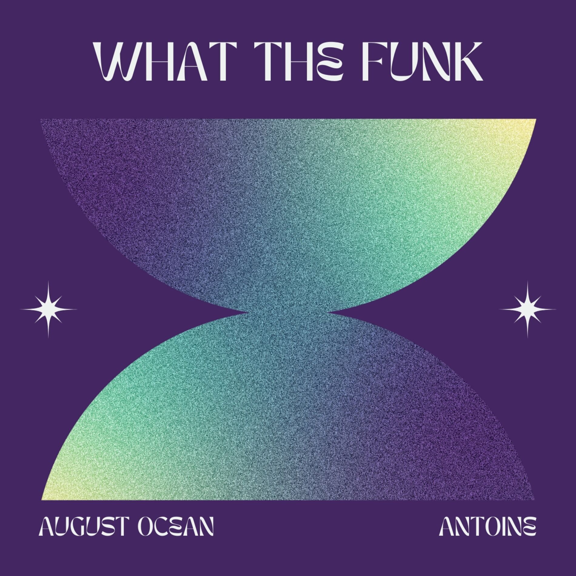 Album cover of What the Funk