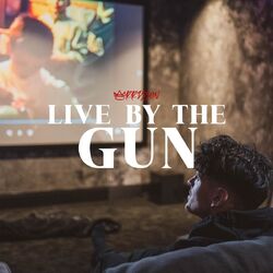 Cover of Live by the Gun