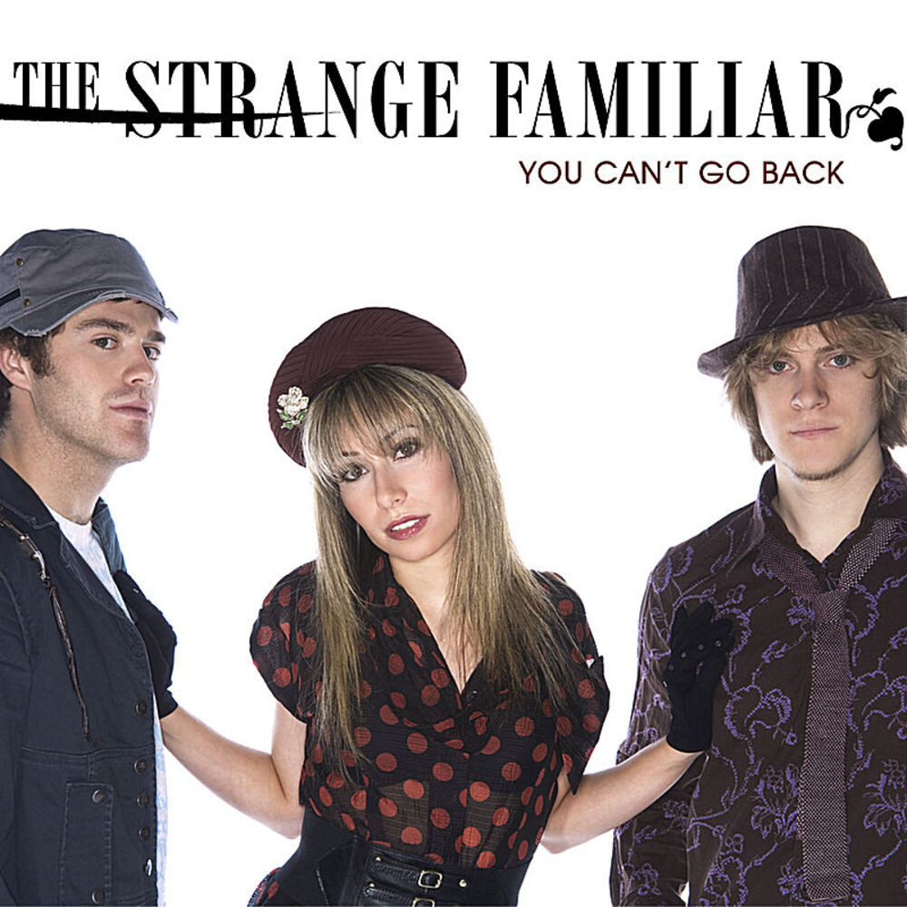 Picture of You Can't Go Back