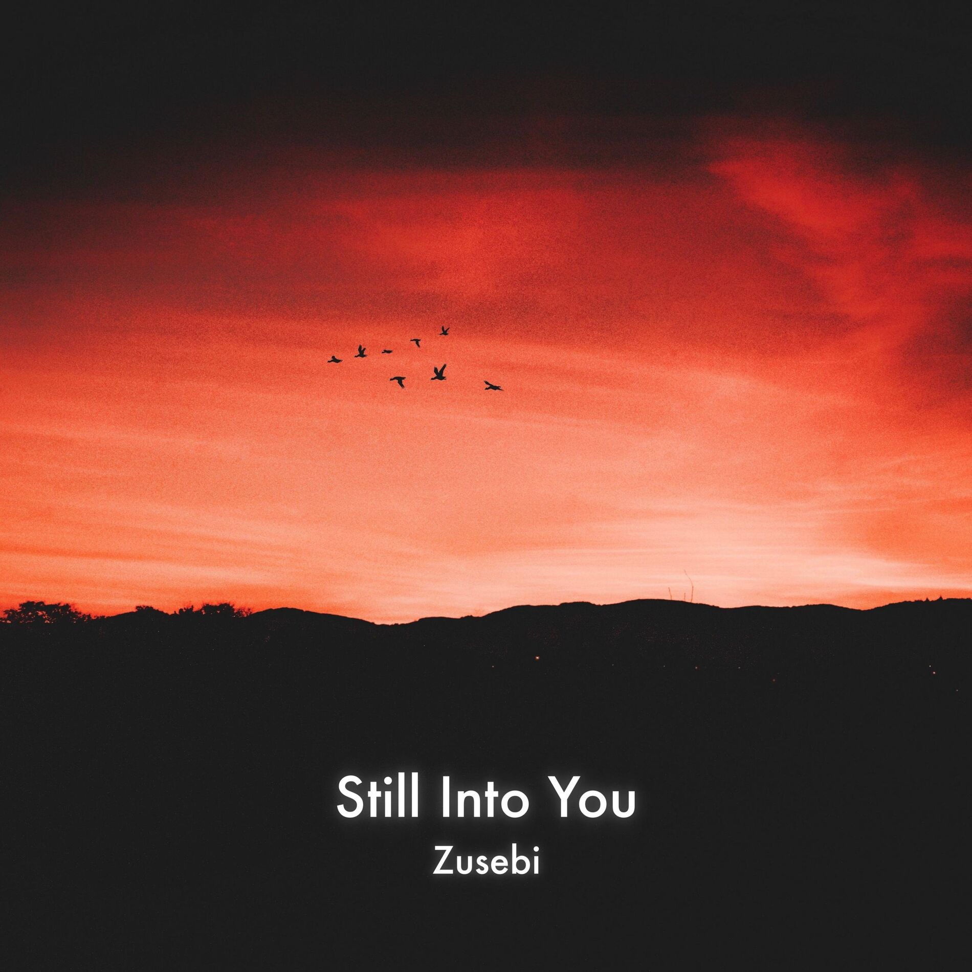 Album cover of Still Into You