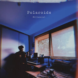 Cover of Polaroids