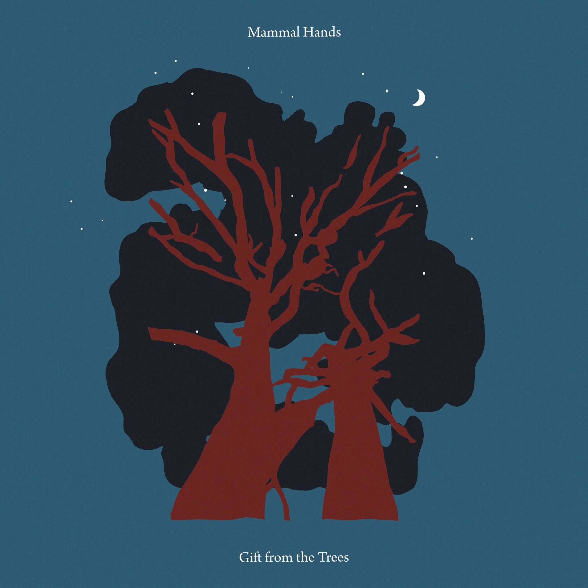 Album cover of The Spinner