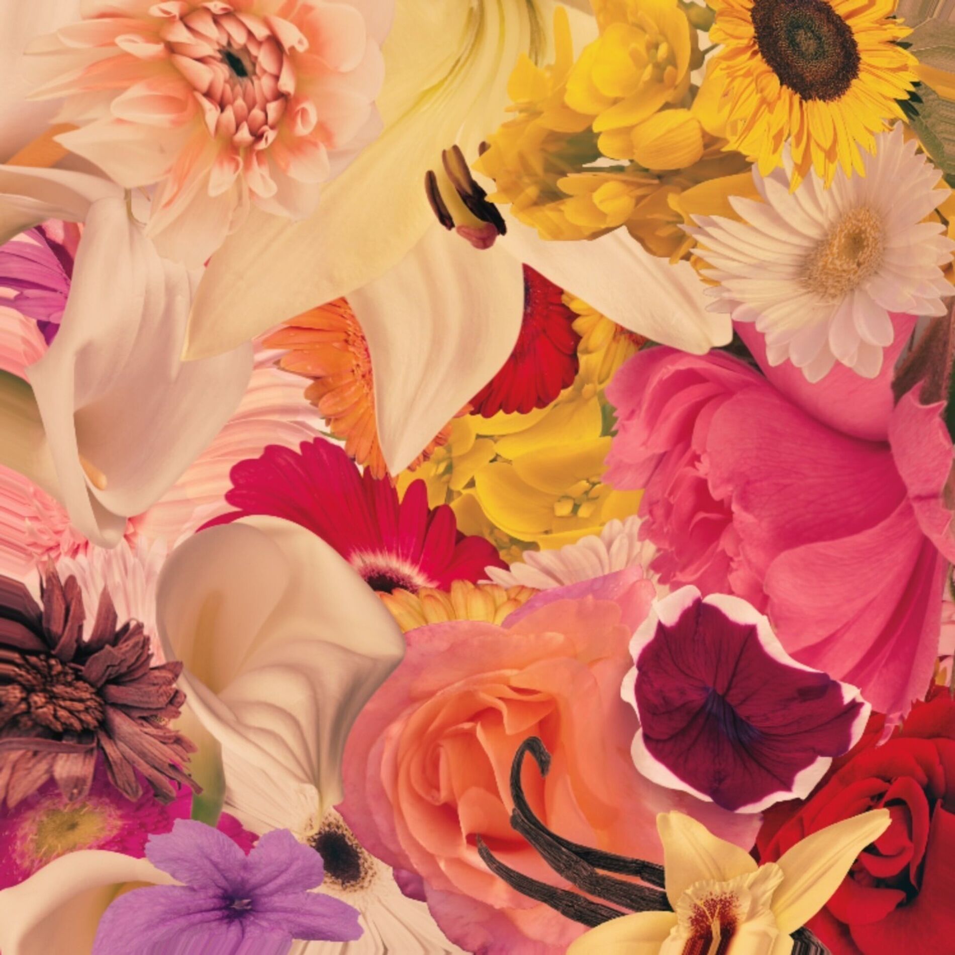 Album cover of HANA