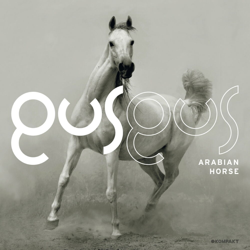 Picture of Arabian Horse