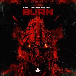 Cover of Burn