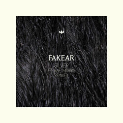 Cover of Silver (Remixed)
