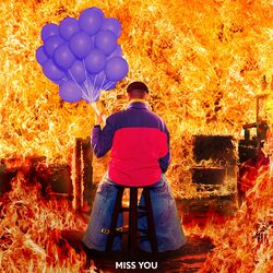 Cover of Miss You (Showtek Remix)