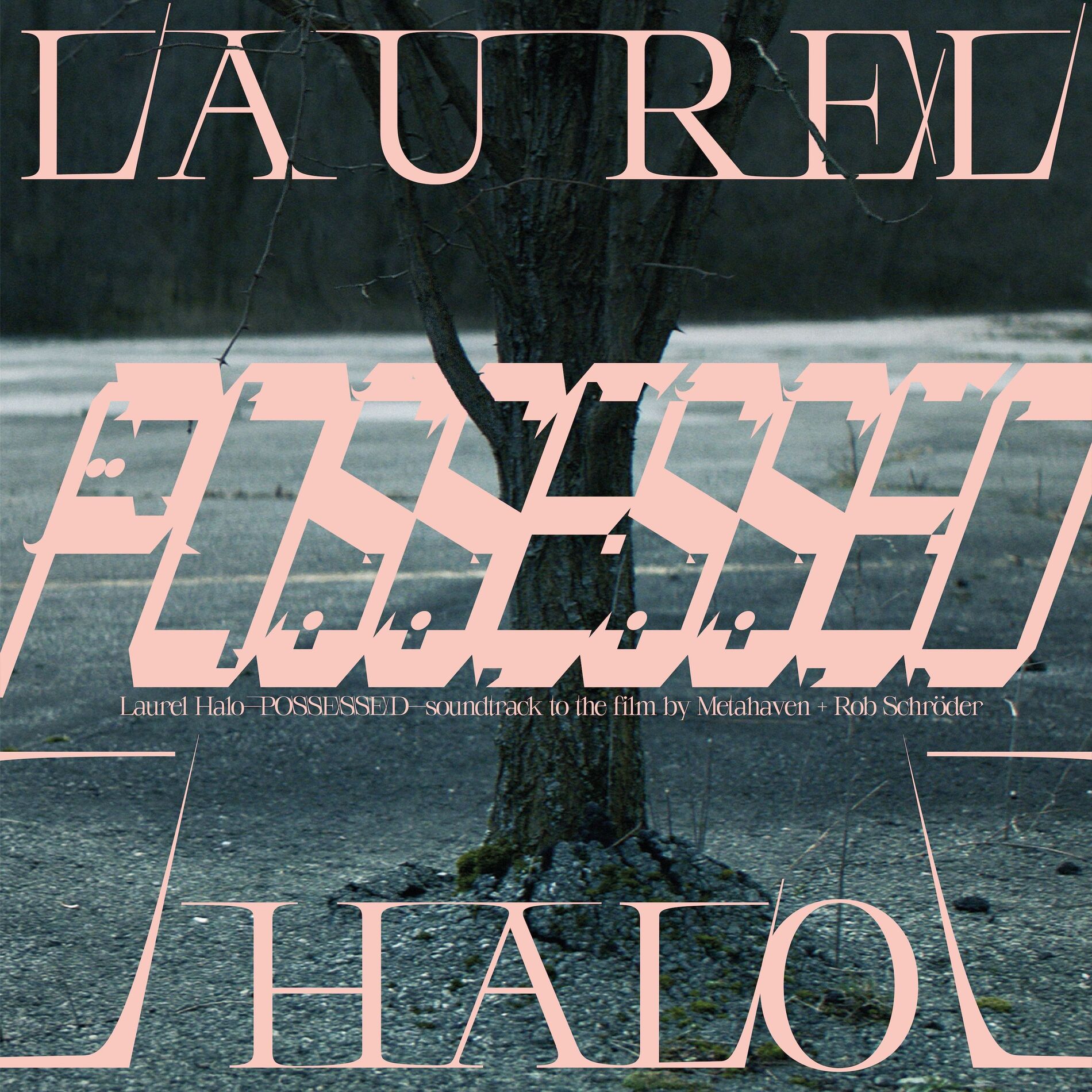 Album cover of Possessed (Original Score)