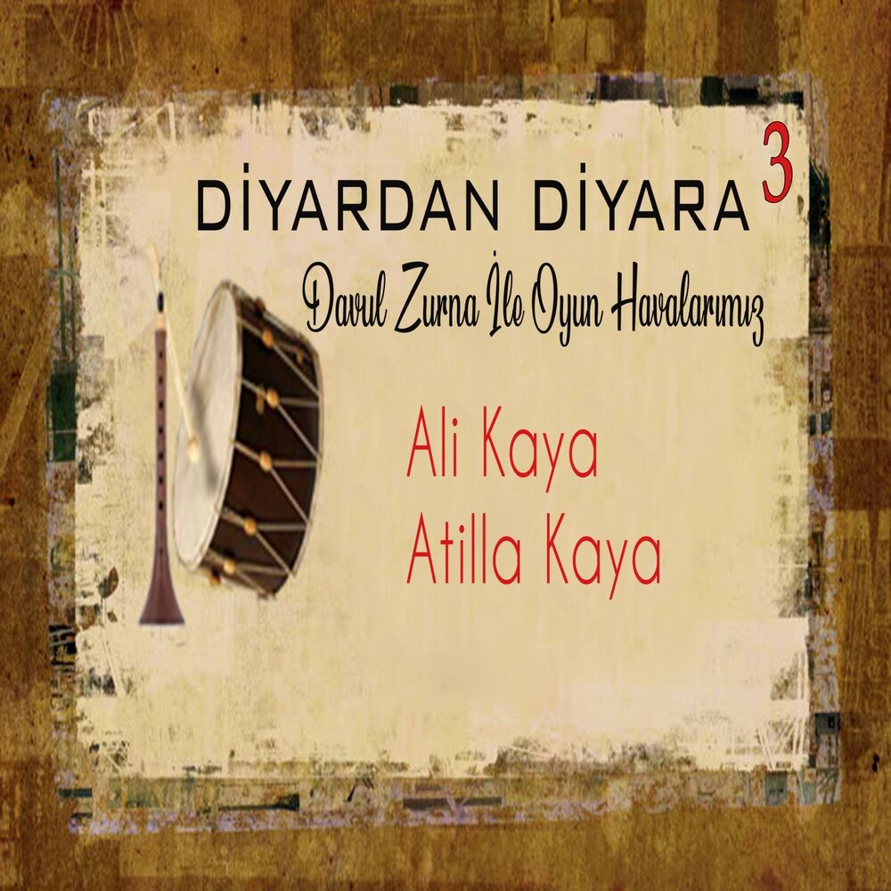 Picture of Diyardan Diyara, Vol. 3 (Davul Zurna İle Halk Oyunlarımız)