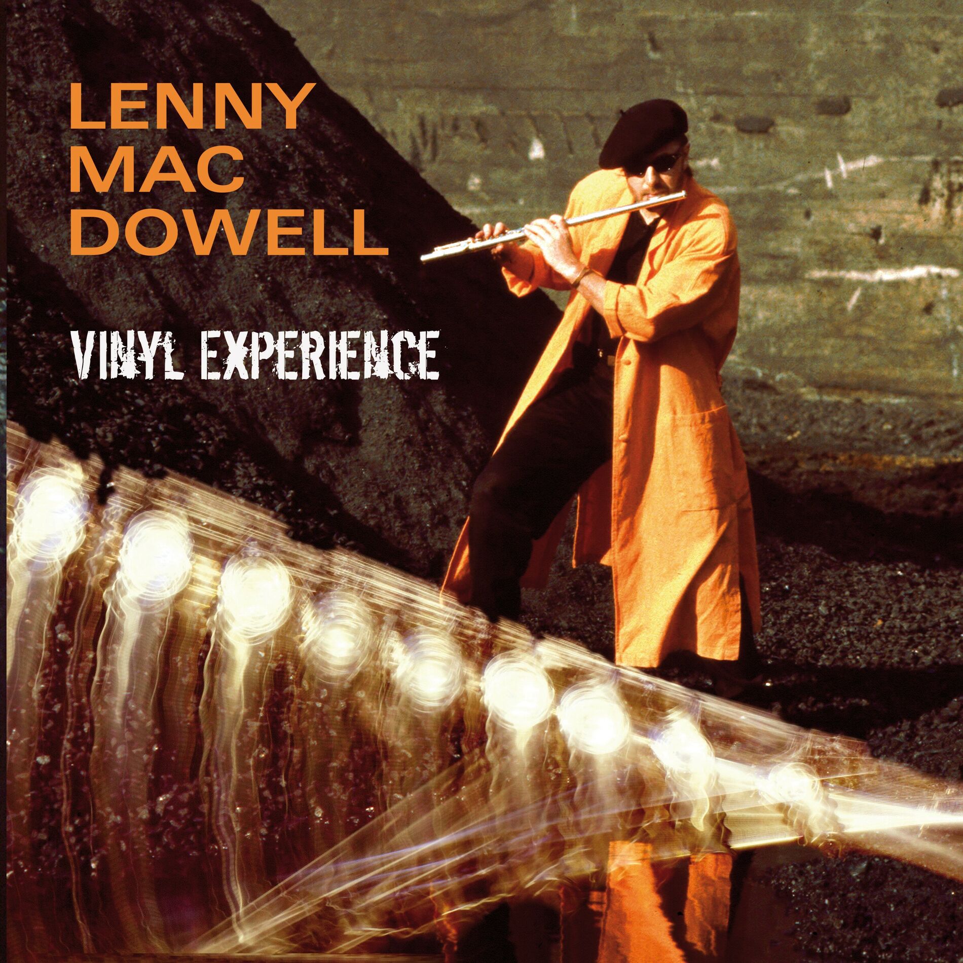 Album cover of Vinyl Experience