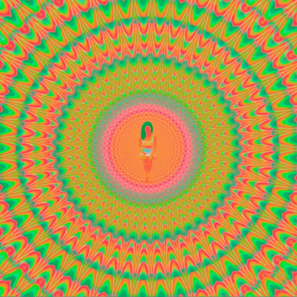 Picture of Trip