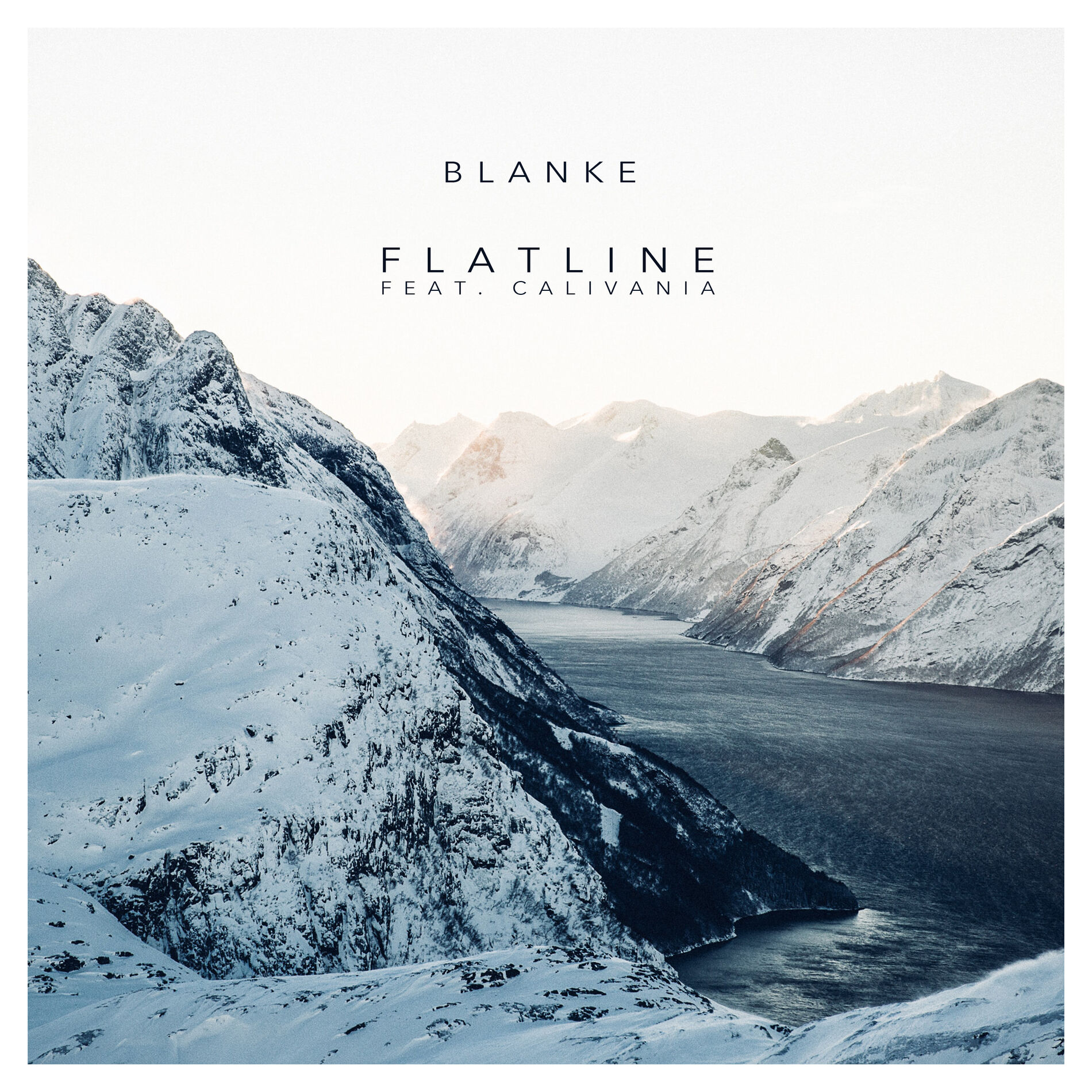 Album cover of Flatline (feat. Calivania)