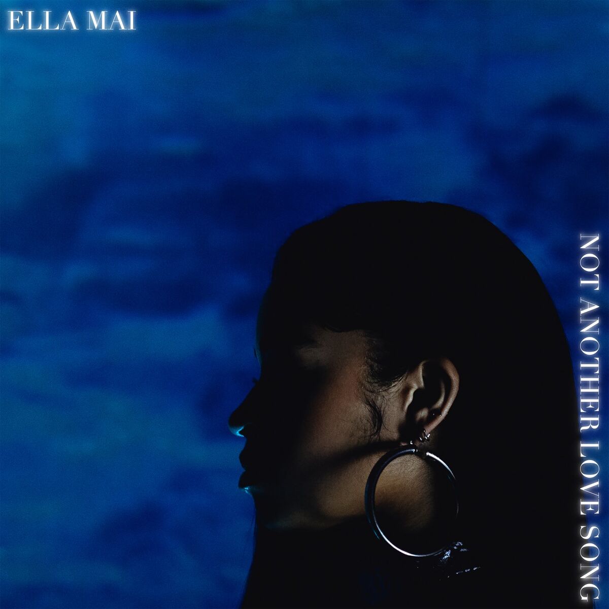 Album cover of Not Another Love Song