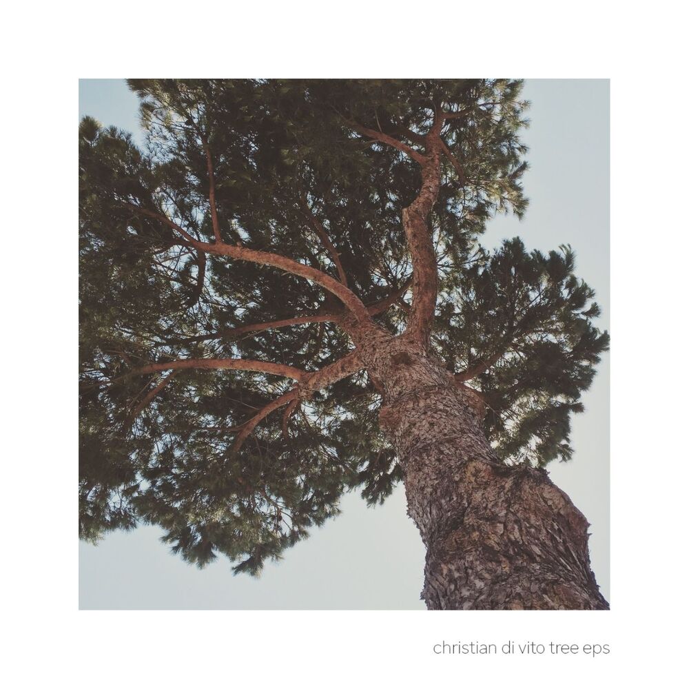 Picture of Tree Eps