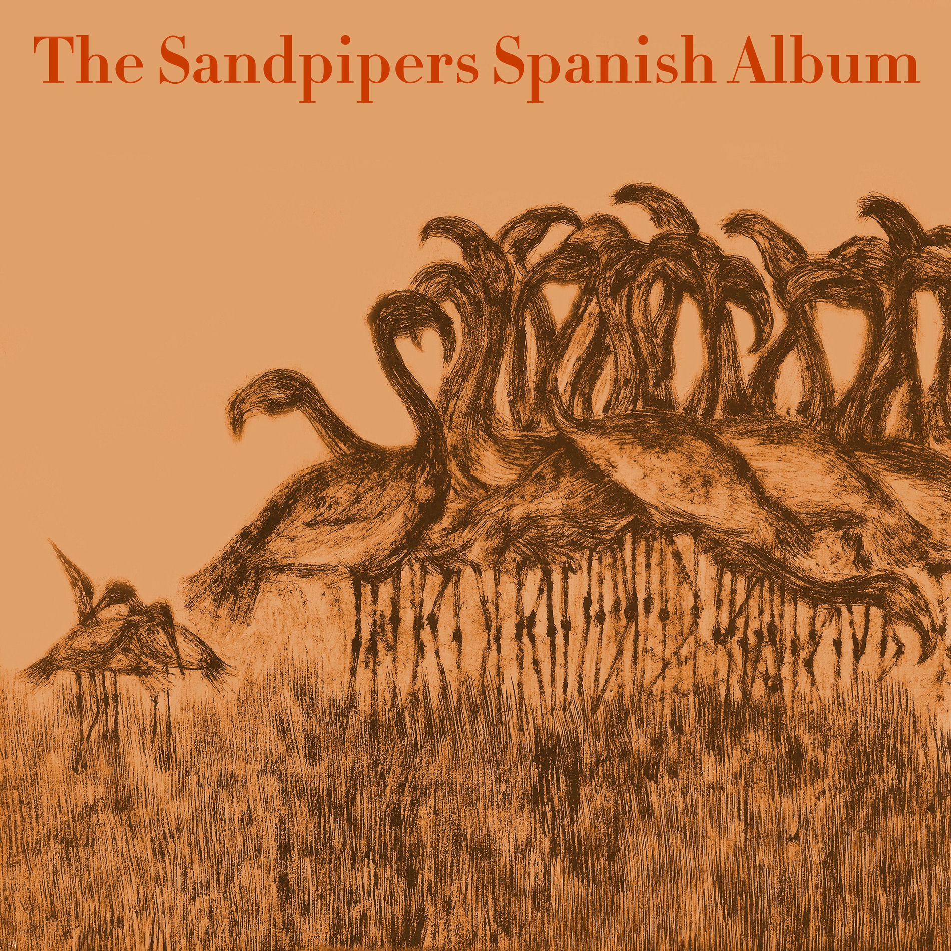Album cover of Second Spanish Album