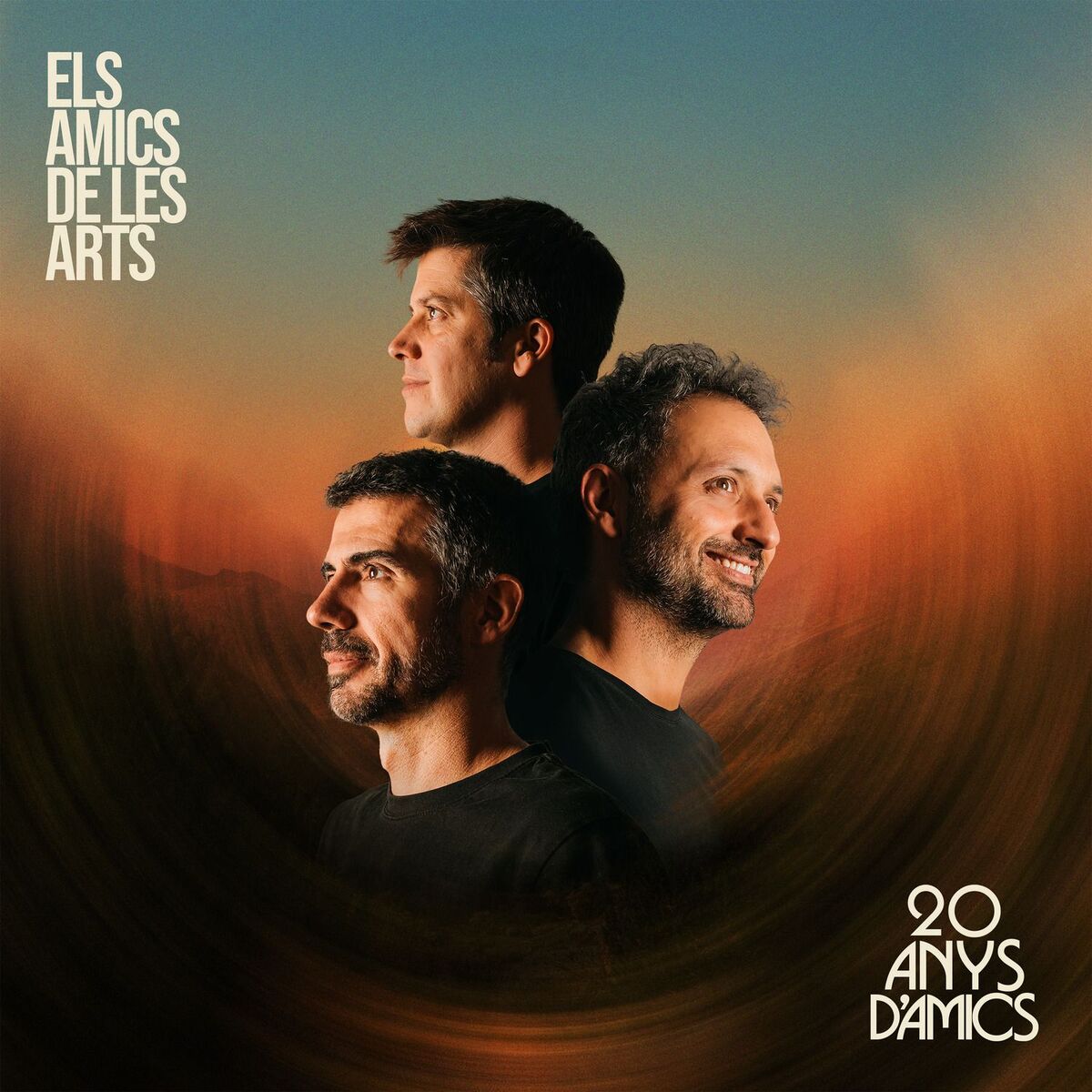 Album cover of 20 anys d'Amics