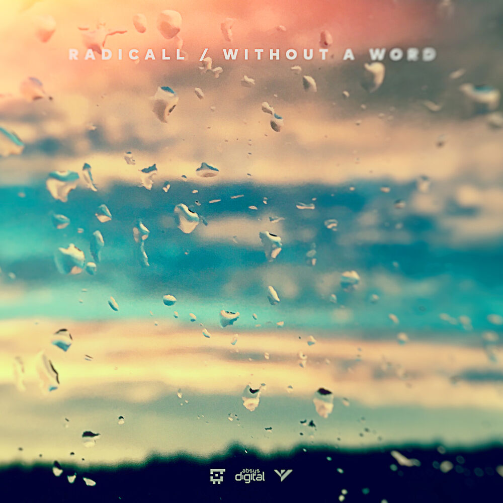 Picture of Without A Word