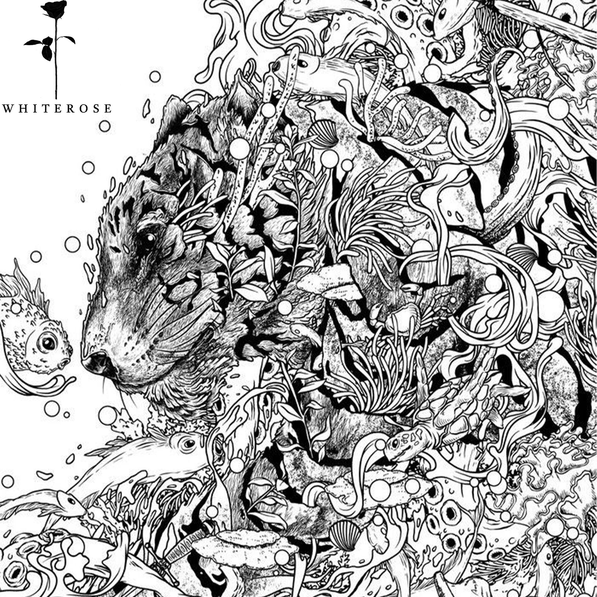 Album cover of Save Me