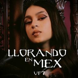 Cover of Llorando en Mex