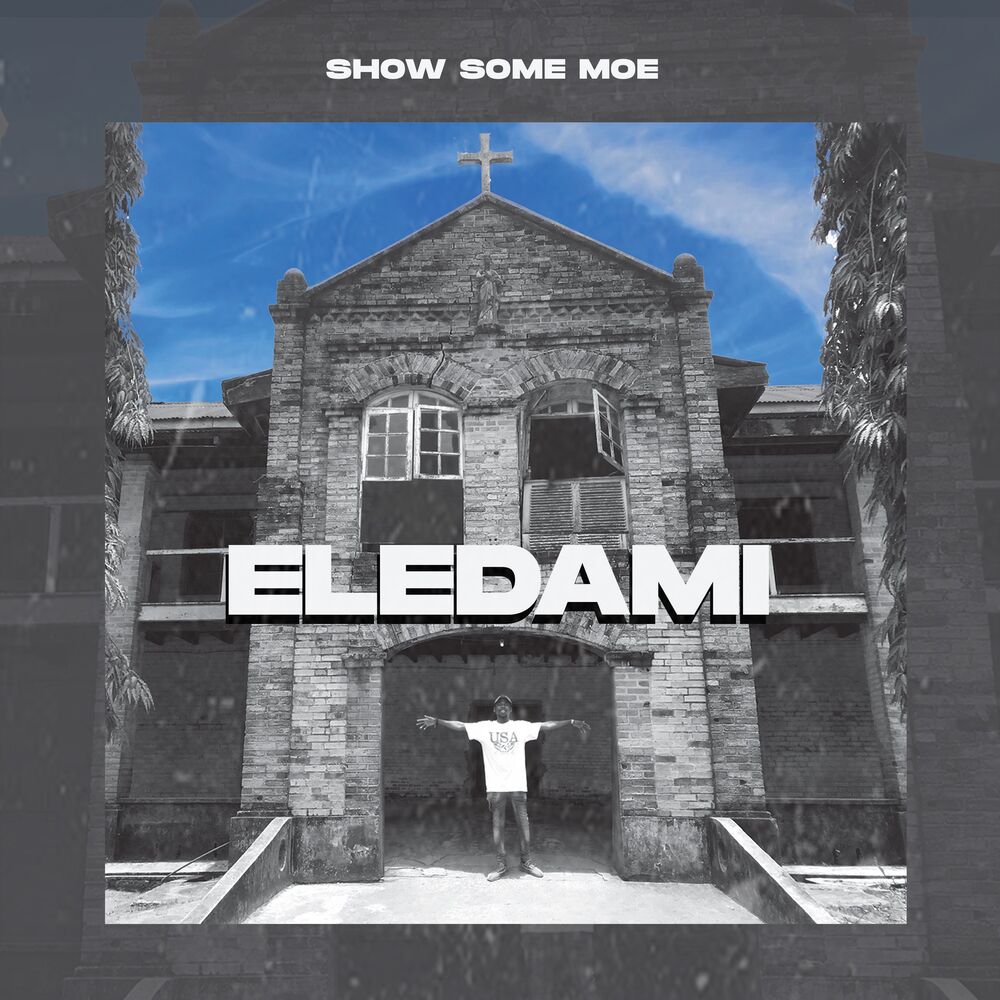 Picture of ELEDAMI